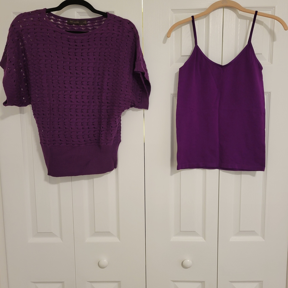 The Limited Purple Boxy Blouse with Camisole